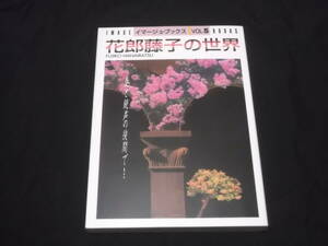 送料140円　イマージュ・ブックス　VOL.5　花郎藤子の世界　花郎藤子　