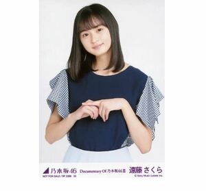 614【乃木坂46】生写真 公式　1枚　遠藤さくら　DVD・Blu-ray特典　いつのまにか、ここにいる Documentary of 乃木坂46 封入特典