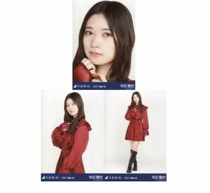 702 【乃木坂46】生写真 公式 3枚 コンプ 寺田蘭世　スペシャル衣装30 乃木坂46 2021.March ヨリチュウヒキ