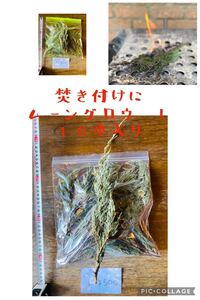 バーベキューの焼き付けに ムーングロウLサイズ(約45cm)10本入り 500円(税込)