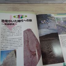 図鑑[足跡からわかる 恐竜の生活 : 肉食・草食、移動・定住、単独・群れ、年齢などを探る] 子供の科学 サイエンスブックス_画像6