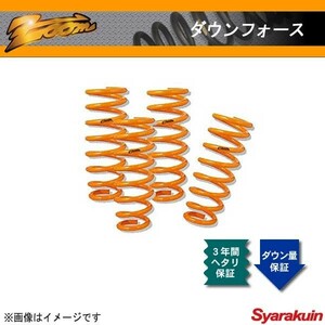 zoom/ズーム ダウンサス ダウンフォース ファーゴフィリー ディーゼル JAVE50 ISUZU/イスズ