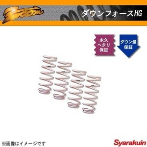 zoom/ズーム ダウンサス ダウンフォースHG S60 RB5244 VOLVO/ボルボ