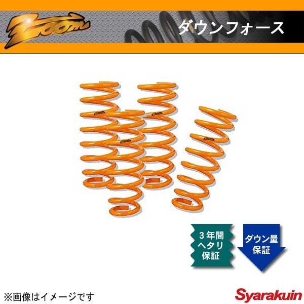 ズーム ZOOM(ズーム) 4WD 1.0L ZOOM [自動車 サスペンション