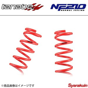 TANABE タナベ ダウンサス オデッセイ RB2 SUSTEC NF210