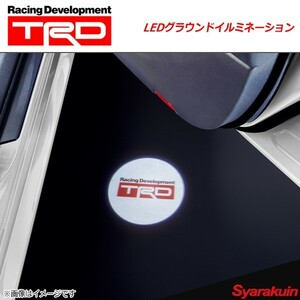 TRD ティー・アール・ディー LEDグラウンドイルミネーション アクア NHP10