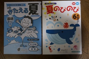 入手困難☆小学6年生　夏のびのび　問題集　基礎・基本から活用まで