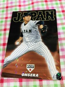 カルビープロ野球カード キラ 広島東洋カープ 侍ジャパン 侍JAPAN 大瀬良大地