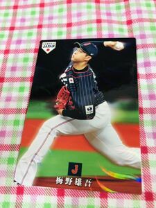 カルビープロ野球カード キラ 中日ドラゴンズ 侍ジャパン 侍JAPAN 梅野雄吾