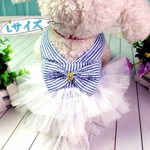 Lサイズ 春夏服 犬服 猫服 小型犬 ペット服 レース フリル ワンピース 可愛い ブルー×ホワイト
