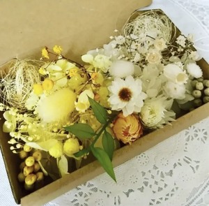  genuine summer. . flower field Mini silver te-ji-* material for flower arrangement assortment 