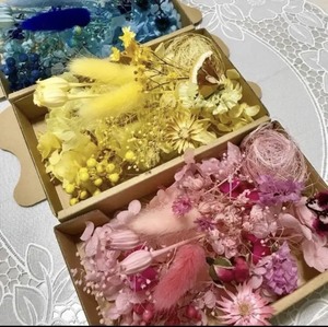  beautiful color 3 color chi-zeru flower entering * material for flower arrangement assortment 