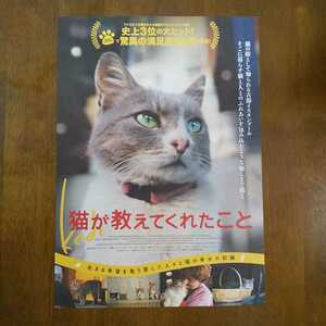 ■映画チラシ【猫が教えてくれたこと】2017年