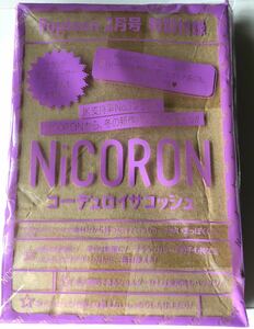 【Popteen 2019年2月号付録】NiCORON　コーデュロイ サコッシュ（未開封品）