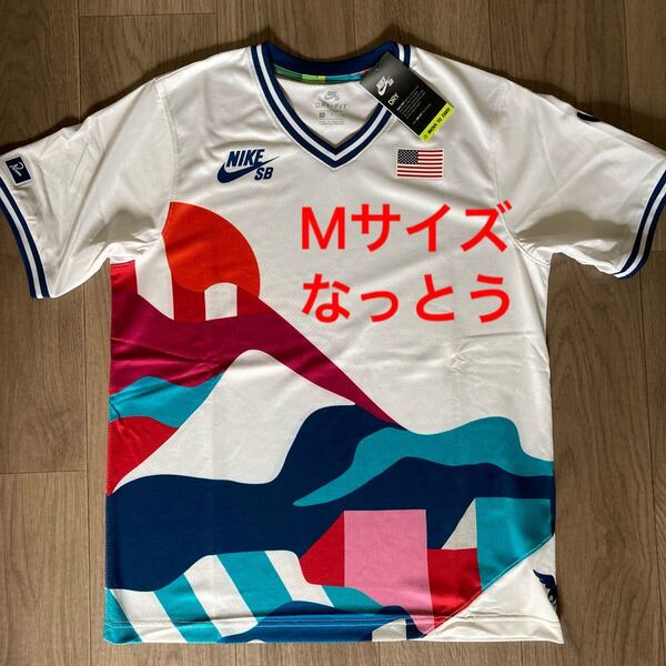 【Mサイズ】NIKE SB x PARRA FEDERATION KIT / T-SHIRTS "USA"