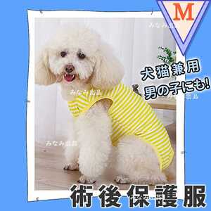 猫 犬 術後服 ウェア 雄 雌 兼用 エリザベスカラー 皮膚ケア イエロー M