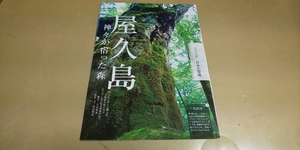 ★日本の聖地「屋久島」★グラビア雑誌・切抜き・11P・同梱可。