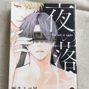 夜の落下 麻生ミツ晃作
