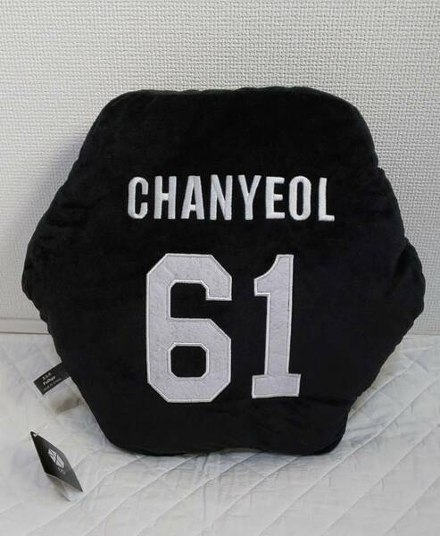 EXO エクソ　ロゴBIG クッション　CHANYEOL チャニョル　61　新品　タグ付き