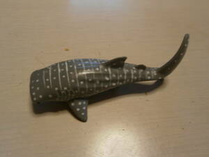 クジラ 魚 動物 10センチ