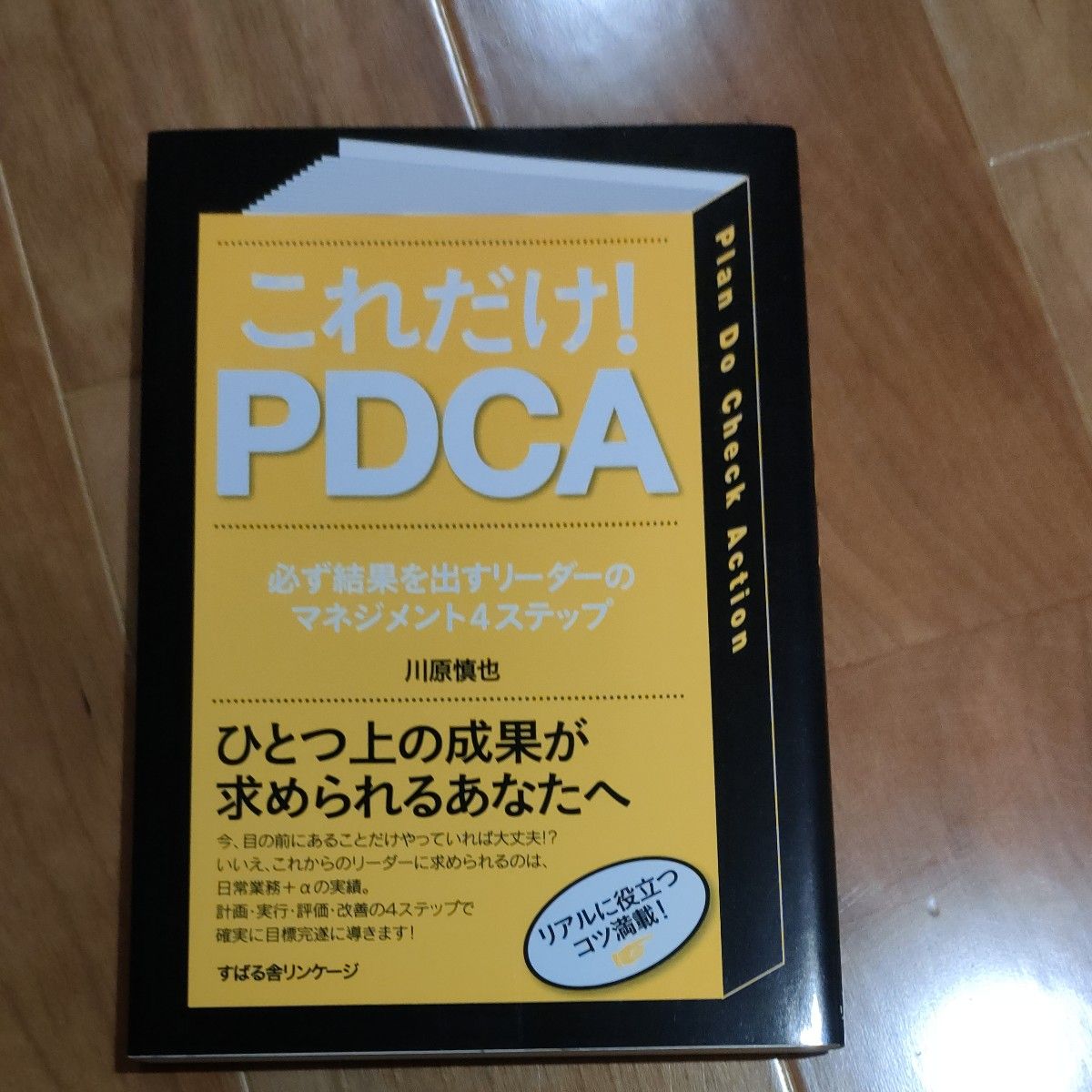 これだけPDCA
