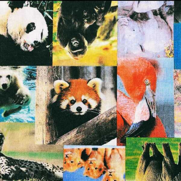 新品 50×110ハンドメイド 生地 動物柄 アニマル エコバッグなどに
