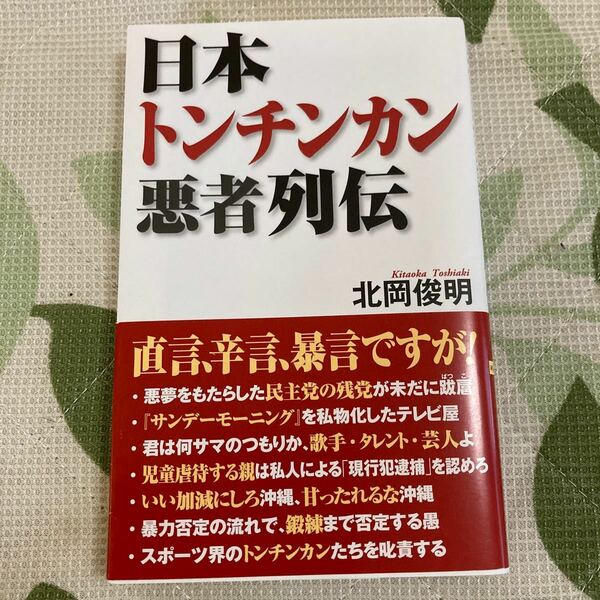 日本トンチンカン悪者列伝/北岡俊明