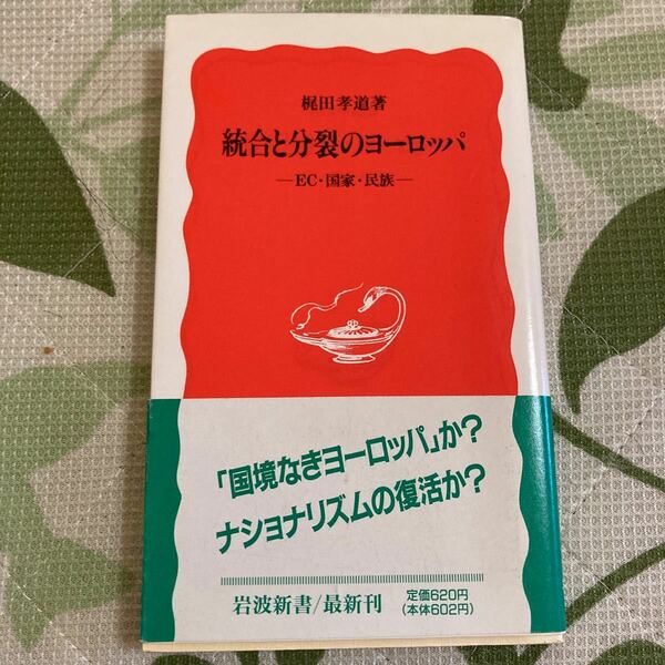 統合と分裂のヨーロッパ ＥＣ国家民族 岩波新書３１０／梶田孝道 【著】