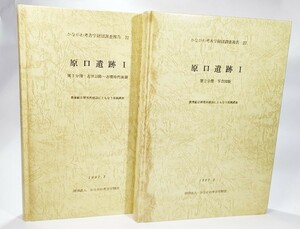 かながわ考古学財団調査報告22 原口遺跡１：農業総合研究所建設にともなう発掘調査 /かながわ考古学財団