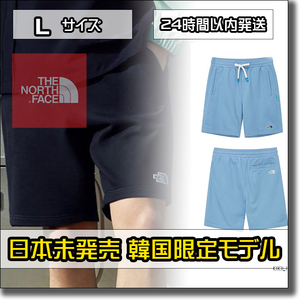 【即決送料無料】L 日本未発売 ザ・ノースフェイス メンズ ハーフパンツ ESSENTIAL ECO SHORTS 21新作 ショートパンツ NS6KM06 短パン