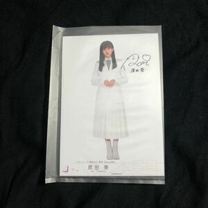 原田葵 イオンカード 生写真 櫻坂46 オリジナルブロマイド ときめきポイント　欅坂46