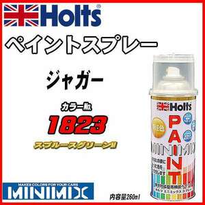 ペイントスプレー ジャガー 1823 スプルースグリーンM Holts MINIMIX