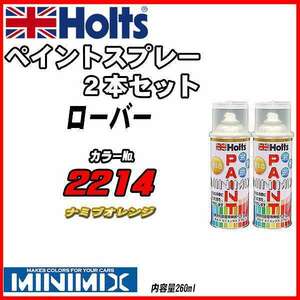 ペイントスプレー 2本セット ローバー 2214 ナミブオレンジ Holts MINIMIX