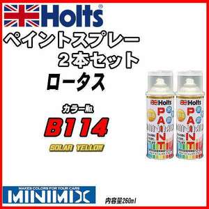 ペイントスプレー 上塗り2本/下塗り2本セット ロータス B114 SOLAR YELLOW Holts MINIMIX