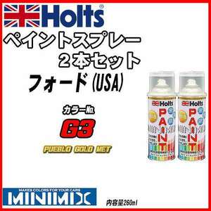 ペイントスプレー 2本セット フォード(USA) G3 PUEBLO GOLD MET Holts MINIMIX