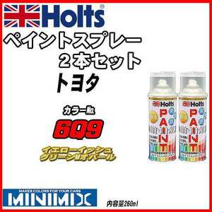 ペイントスプレー 2本セット トヨタ 6Q9 イエローイッシュグリーンMオパール Holts MINIMIX