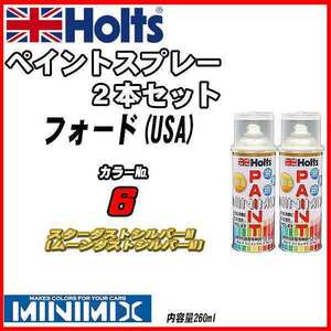 ペイントスプレー 2本セット フォード(USA) 6 スターダストシルバーM (ムーンダストシルバーM) Holts MINIMIX