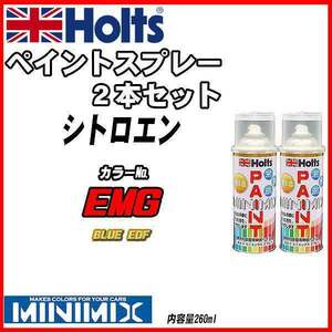 ペイントスプレー 2本セット シトロエン EMG BLUE EDF Holts MINIMIX