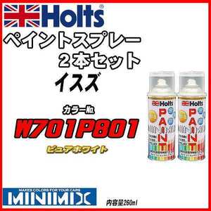 ペイントスプレー 2本セット イスズ W701P801 ピュアホワイト Holts MINIMIX