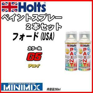 ペイントスプレー 2本セット フォード(USA) G5 アロイ Holts MINIMIX