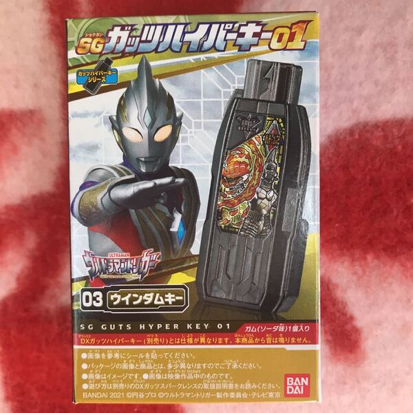 SGガッツハイパーキー01 03.ウィンダムキー