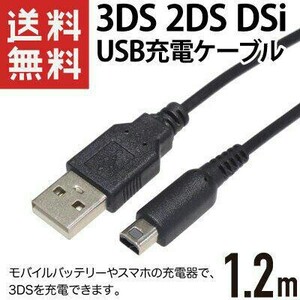 任天堂 3DS本体用USB充電器ケーブル 1本