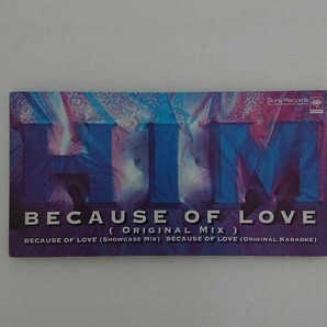 HIM Because Of Love CD シングル
