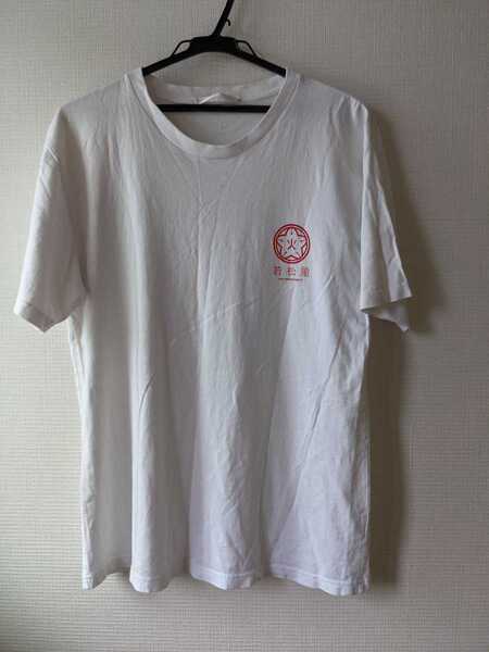 送料無料 メンズLサイズ 半袖Tシャツ ロゴT 花火 夏物 男性用 yuzu10sogo03