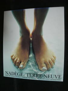 【中古CD】 NADEGE / TERRE-NEUVE / ナデージュ / テル・ヌーヴ / nadege