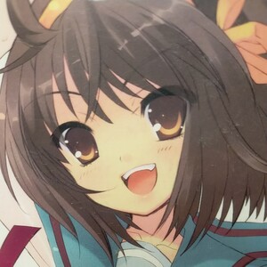 涼宮ハルヒの憂鬱 DVD