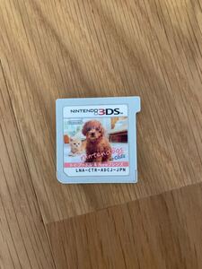 nintendogs + cats トイ・プードル&Newフレンズ