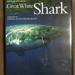【 送料無料！!・盤面良品！・再生保証付！】★Great White Shark◇1995年/イギリスBBCドキュメント100シリーズ/本編50分★ 
