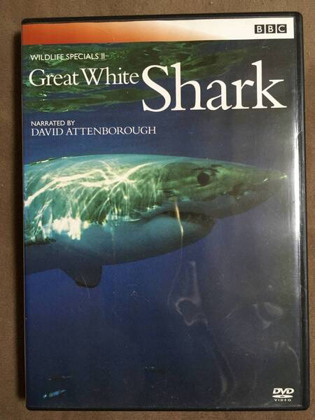 【 送料無料!!・盤面良品!・再生保証付!】★Great White Shark◇1995年/イギリスBBCドキュメント100シリーズ/本編50分★