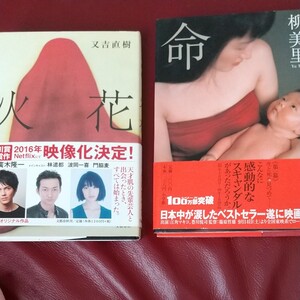 小説 本
